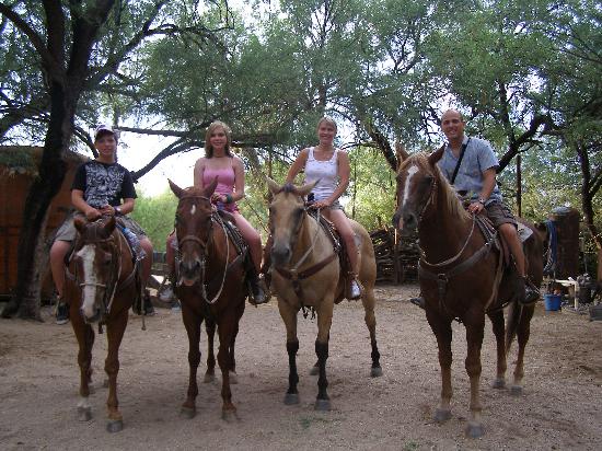 FAMILY HORSE FAMILY HORSE